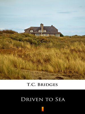 cover image of Driven to Sea
